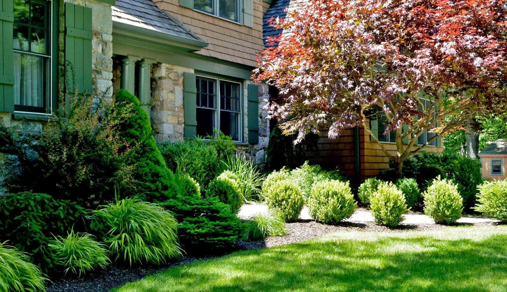 Tree & Shrub Planting Services in Calabasas, CA