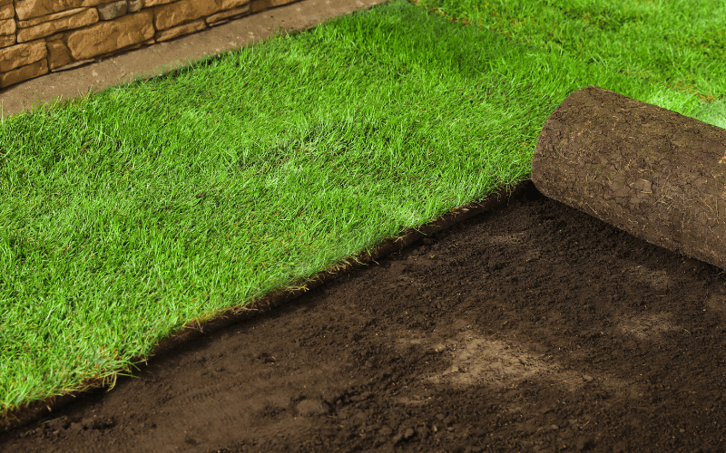 Sod Installation Services in Calabasas, CA